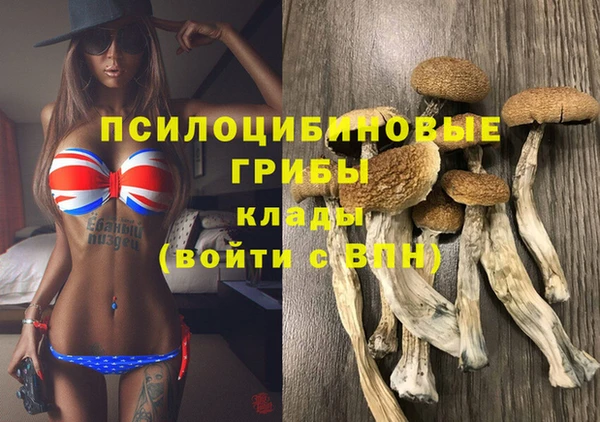 не бодяженный Беломорск