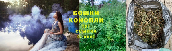 2c-b Белокуриха