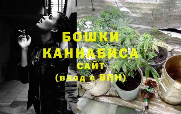 2c-b Белокуриха