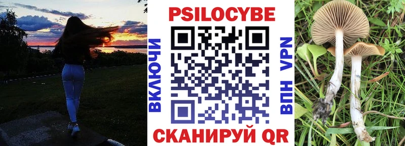 Псилоцибиновые грибы Psilocybe Воткинск